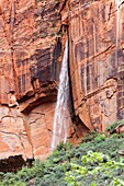 Waterfall at Upper Emerald Pool, Zion NP, Utah