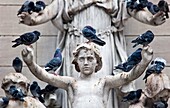 Pigeons Spoiling a Statue in New York City