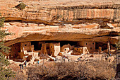 Spruce Tree House, cliff dwelling of pre-Columbian Anasazi indians and UNESCO World Heritage site, Mesa Verde National Park in Colorado, United States of America, USA