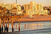 the beach in Santa Monica, Los Angeles County, California, United States of America, USA