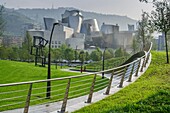 Guggenheim views, Bilbao, Basque Country, Spain