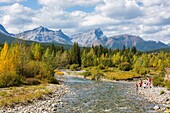 Clear clean Cat Creek in Kananaskis Country in Alberta Canada