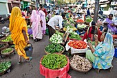 Fruit and Vegetable Market, Udaipur, Rajasthan, India