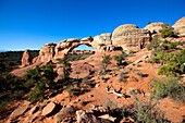 Broken Arch  Water and ice, extreme temperatures, and underground salt movement are responsible for the scultured rock scenery of Arches National Park  Today new arches are bing formed and old ones destroyed  Erosion and weathering work slowly but relentl