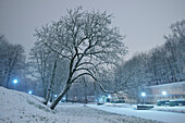 Schnee bedeckt Bäume und Kanal im Glacis Park bei Nacht, Neu-Ulm, Bayern, Deutschland