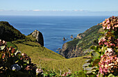 Coastal landscape near Lajedo, Southwest coast, Island of Flores, Azores, Portugal