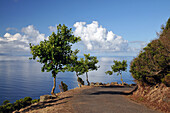 Coastal Highroad at Caldeira, South of the Island of Graciosa, Azores, Portugal