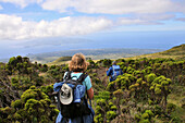 Hiking under the vulcano, Ponta do Pico, Island of Pico, Azores, Portugal