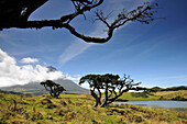 Lake do Capitao beneath the vulcano, Ponta do Pico, Island of Pico, Azores, Portugal