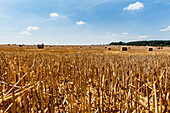 Harvested grain field on the island of Ruegen, Mecklenburg-Western Pomerania, north Germany, Germany