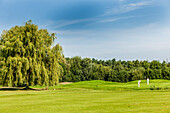 2 Golferinnen beim Putten, Golfclub Green Eagle, Radbruch, Winsen Luhe, Niedersachsen, Norddeutschland, Deutschland