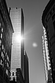 Sun Reflecting off Modern Building, Low Angle View, Boston, Massachusetts, USA