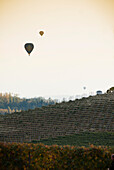 Hot Air Balloons Flying Over Vineyard, Italy