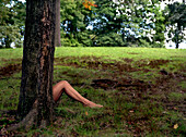 Woman's Bare Legs Sticking out From Behind Tree