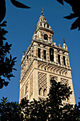 Giralda, Moorish Tower Of The Old 12Th Century Great Mosque, Sseville, Andalusia, Spain