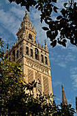 The Giralda, Moorish Tower Of The Old 12Th Century Great Mosque, Seville, Andalusia, Spain
