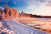 Frosted Spruce Trees And Fog Rising Over The Tanana River Near Richardson Highway In Interior Alaska During Winter