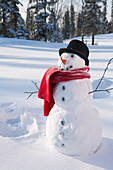 Snowman Wearing Santa Hat In Snowy Meadow W/Imprint From Snow Angel Forest In Background Alaska Winter