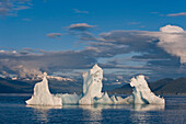 Gulls Rest On A Iceberg Floating In Tracy Arm. Located In The Fords Terror Wilderness Near Juneau. Summer In Southeast Alaska.