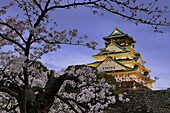 Japan, Osaka, Osaka Castle and Sakura at dusk