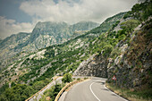 kurvige Straße hinab zur Bucht von Kotor, Adria Mittelmeerküste, Montenegro, Balkan Halbinsel, Europa, UNESCO