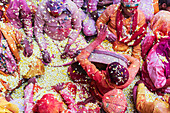 Lathmar Holi Celebrations, Barsana, Uttar Pradesh, India