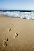 Footprints In Sand, California