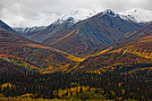The Saint Elias Mountains In Autumn Colours Along The Haines Highway, Yukon Canada