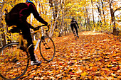 Cyclists Riding In Autumn On Humber Trail, Toronto