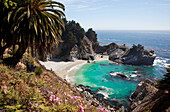California, Big Sur, Julia Pfeiffer Burns State Park, View of McWay Falls, Lush foliage in foreground.