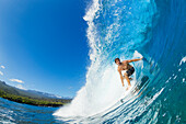 Hawaii, Maui, Professional surfer Ola Eleogram surfing the barrel of a wave. EDITORIAL USE ONLY.