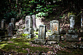Gravestones in Forest, Kinosaki, Japan