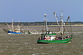 Fishing boats off Langeoog Island, North Sea, East Frisian Islands, East Frisia, Lower Saxony, Germany, Europe