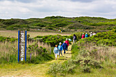 Flinthoern nature trail, Dunes, Langeoog Island, North Sea, National Park, Unesco World Heritage Site, East Frisian Islands, East Frisia, Lower Saxony, Germany, Europe