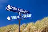Hinweisschilder zu Strand und Beobachtungspunkt am Osterhook, Langeoog, Ostfriesische Inseln, Nordsee, Ostfriesland, Niedersachsen, Deutschland, Europa
