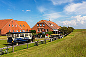 Restaurant Meierei with horse and cart, Langeoog Island, North Sea, East Frisian Islands, East Frisia, Lower Saxony, Germany, Europe