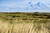 Panoramablick von Aussichtsdüne Richtung südost, Langeoog, Ostfriesische Inseln, Nordsee, Ostfriesland, Niedersachsen, Deutschland, Europa
