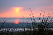 Strandhafer in Dünen am Strand in der Abenddämmerung, Wolkenstimmung, Langeoog, Ostfriesische Inseln, Nordsee, Ostfriesland, Niedersachsen, Deutschland, Europa