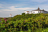 Restaurant Strandhalle in den Dünen und Wasserturm, Langeoog, Ostfriesische Inseln, Nordsee, Ostfriesland, Niedersachsen, Deutschland, Europa