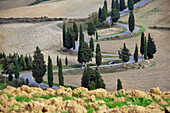 Landstraße bei Monticchiello bei Pienza, Siena, Süd-Toskana, Toskana, Italien
