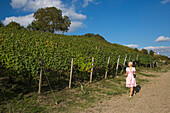 Wine princess Christina Schuhmann anear the vineyard of Weingut Dahms winery, Sennfeld, near Schweinfurt, Franconia, Bavaria, Germany