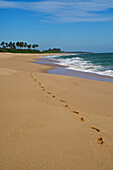 Footprints in the sand along a long deserted beach east of Tangalle, South coast, Sri Lanka, South Asi