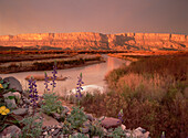 Sierra Ponce and Rio Grande, Big Bend National Park, Texas