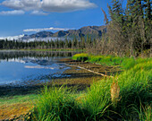 Nutzotin Mountains and boreal forest reflected in receding lake, Alaska