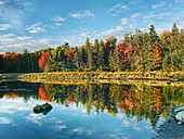 Coastline, Mount Desert Island, Maine