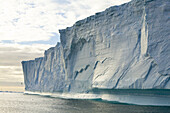 Massive tabular iceberg and seabirds flying around its base near South Georgia Island