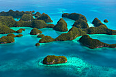 Rock islands covered with rainforest, the limestone islands have been eroded into mushroom-like formations, Palau