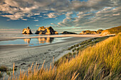 Evening light on sand dunes, Archway Islands in the distance, Wharariki Beach near Collingwood, Golden Bay, New Zealand