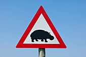 Hippopotamus (Hippopotamus amphibius) warning sign, Phalaborwa, South Africa