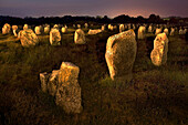 Standing stones at night, Carnac, Brittany, France